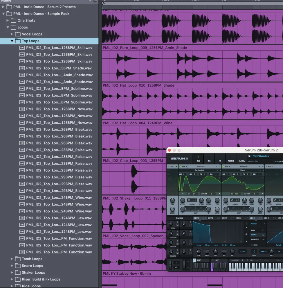 Indie Dance Sound Pack Surge