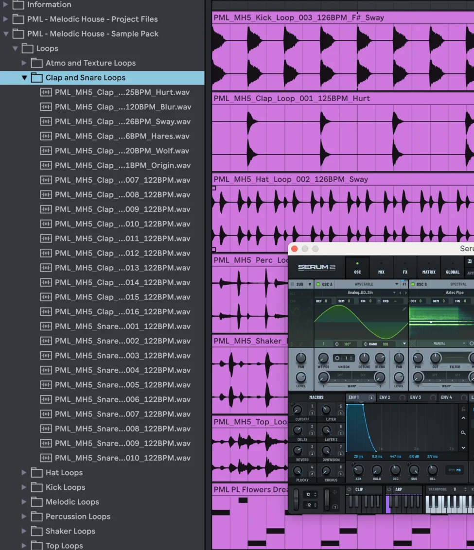 Melodic House Sound Pack Bloom